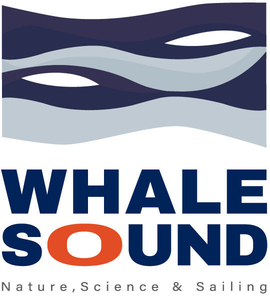 Whale Sound - Nature, Science & Sailing
